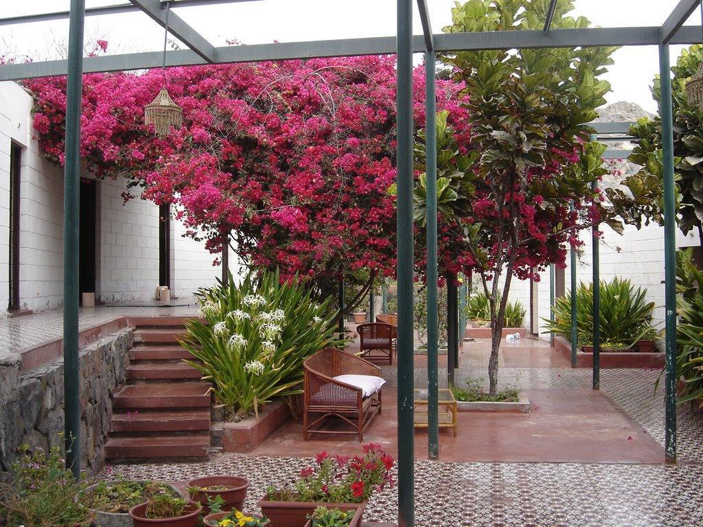 Hosteria Chanaral Exterior photo